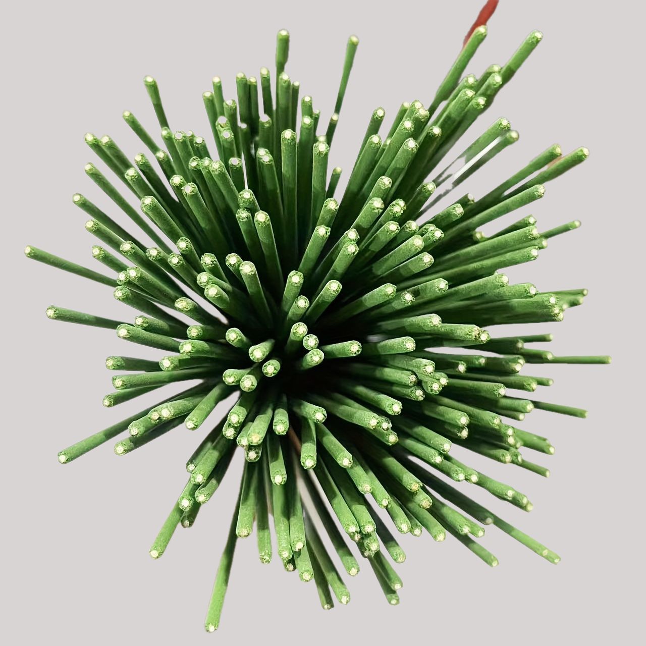 Reed Diffuser Sticks Lemongras - Perfume Fragrance Stick recension och pris